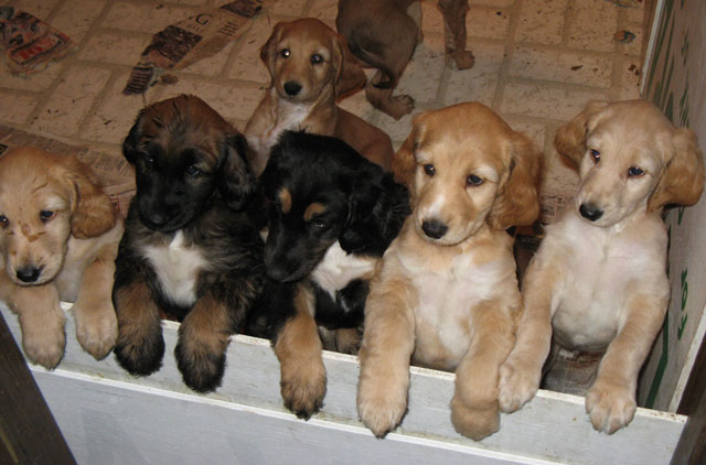 Group-12-16-08-661.jpg
